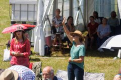 IMG_0356