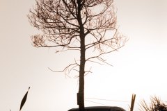 IMG_1165
