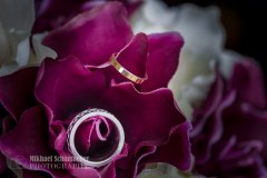 20180414_JA_0175-Enhanced-NR-2