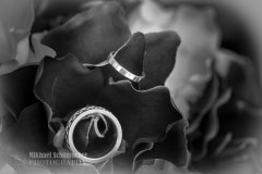20180414_JA_0175-Enhanced-NR
