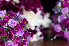 20180414_JA_0177-Enhanced-NR