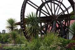 20180414_JA_0247-Enhanced-NR