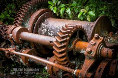 20180414_JA_0502-Enhanced-NR