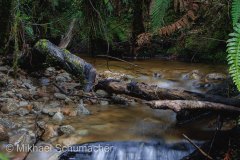 IMG_8682