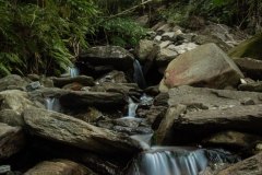 MG_4755