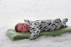 IMG_0364